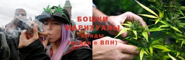 apvp Горнозаводск