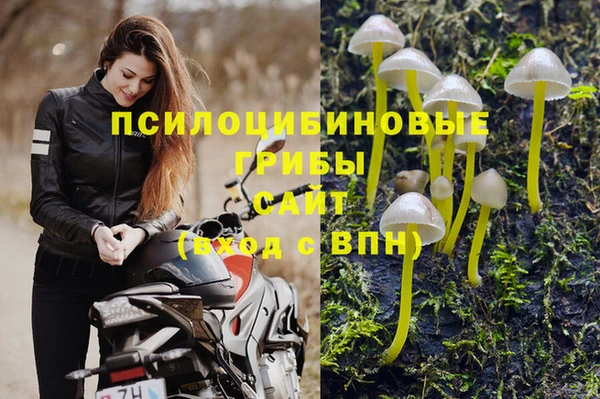 apvp Горнозаводск