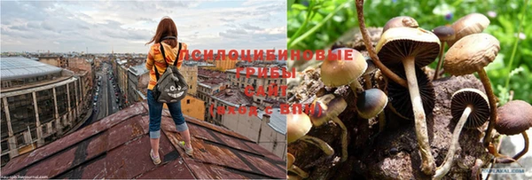 MESCALINE Горняк