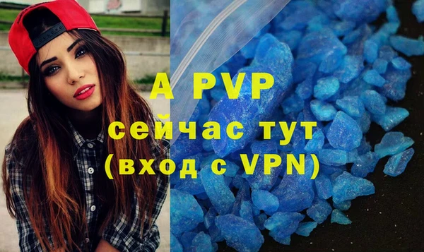 apvp Горнозаводск